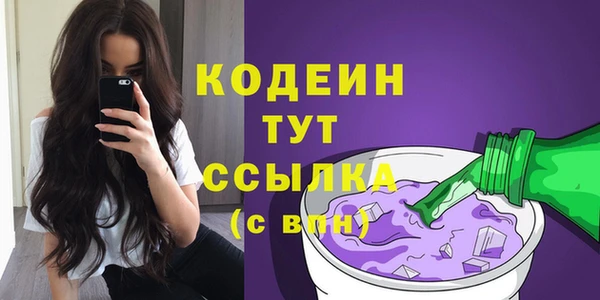 прущие грибы Вяземский